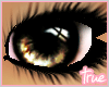 !T* Treasure eyes