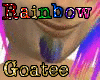 Rainbow Chin-Goatee
