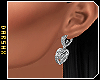 •Earrings•