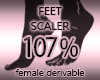 Feet Scaler 107%