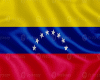 VENEZUELA BANDERA