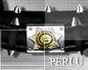 [P]Police Belt