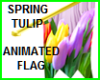 SPRING TULIP GARDEN FLAG