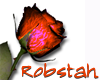 Robstah Bright Rose