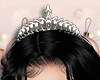 🎄 Crown