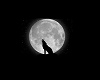 wolf and moon rising