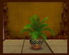 (Ch4) Palm Plant