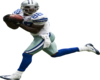 3D Dez Bryant