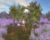 GARDEN  (KL)