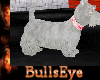 [bu]White Terrier