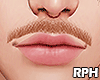 🏵️ Mustache Ginger