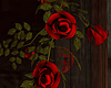 M. Vamp roses
