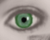 [L] Eyes Green Vert