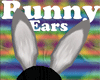 Gray Bunny Ears