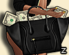 Z e Bag +Money