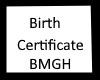 Smith Twins Birth Certif