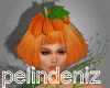 [P] Pumpkin big bundle