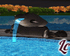 Pool Side fountain