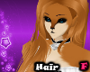 | Foxira Hair 1 |