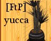 [FtP] Yucca