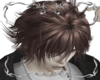 ✧･ﾟZOLDYCK Brown