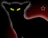 Black Cat Poster