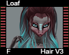 Loaf Hair F V3