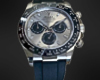 Trolex Daytona
