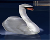 V3 Swan w/ Sound