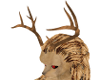 deer furry antlers