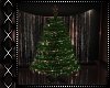 !!Wish Christmas Tree