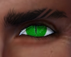 Green crocadile eyes