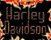 Harley Davidson tee