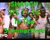 shaggy in the summertime