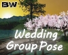 Wedding Group Pose