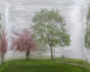 Mist Sakura Spring Bg