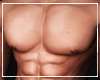 Aesthetic Body V1