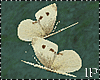 Cream Animat Butterflies