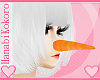 Olaf-chan Carrot Nose