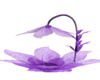 Purple Flower Bed