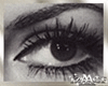 AC! Eyes to Left 77.5%