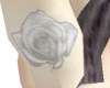 White Rose tat~