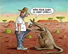 kangaroo aussie poster