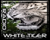(L) WHITE TIGER RADIO