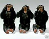 3  wise monkeys