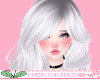Neko's| Sliver