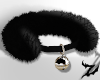 Black Cat Collar
