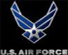 Air Force Wall Picture