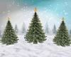Christmas Tree Room