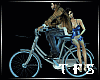 Romantic Bicycle  /W